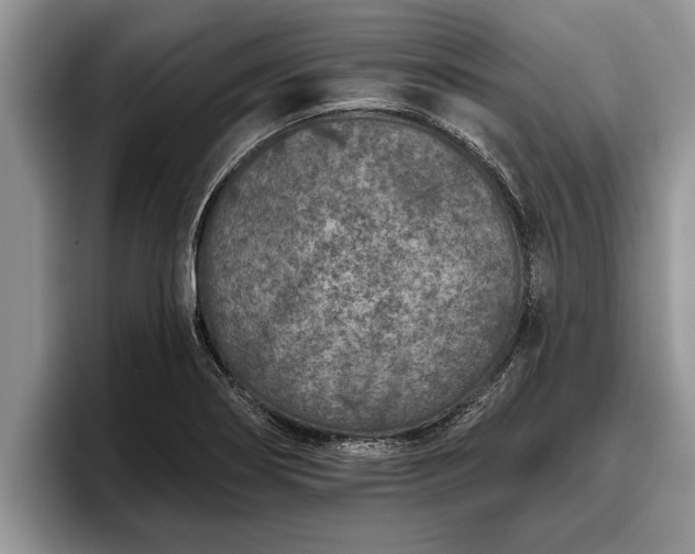 X0000095881274200801181158