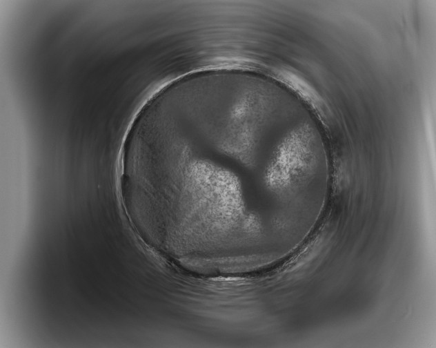 X0000095881275200801181158
