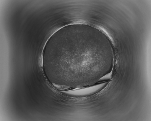X0000095881276200801181158