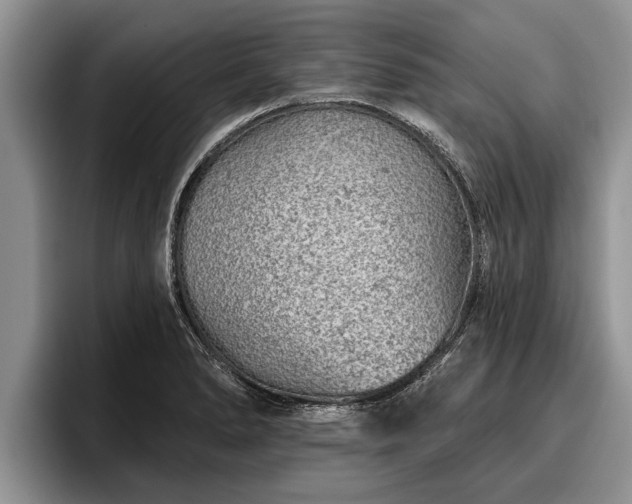 X0000095881278200801181158