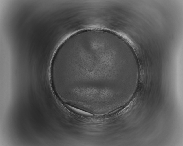 X0000095881279200801181158
