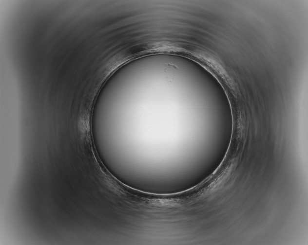X0000095881281200801181158