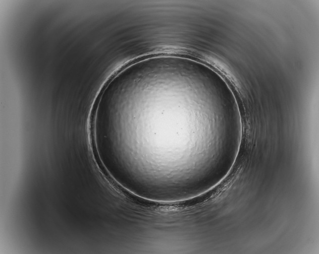 X0000095881283200801181158