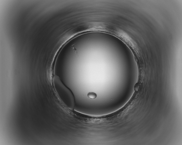 X0000095881284200801181158