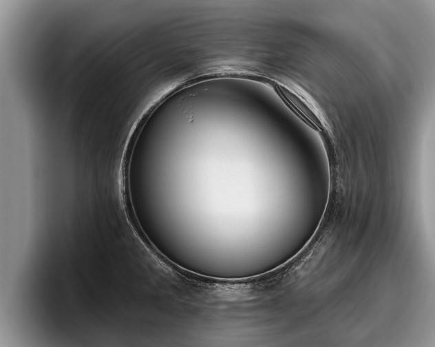 X0000095881285200801181158
