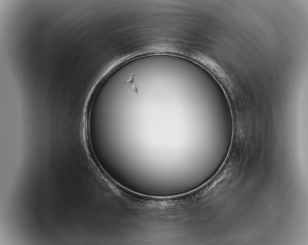 X0000095881286200801181158