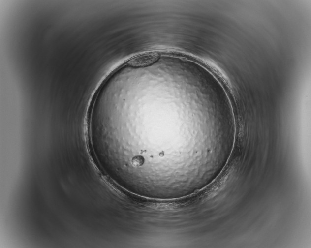 X0000095881287200801181158