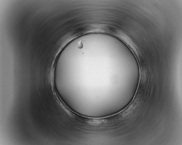 X0000095881290200801181158