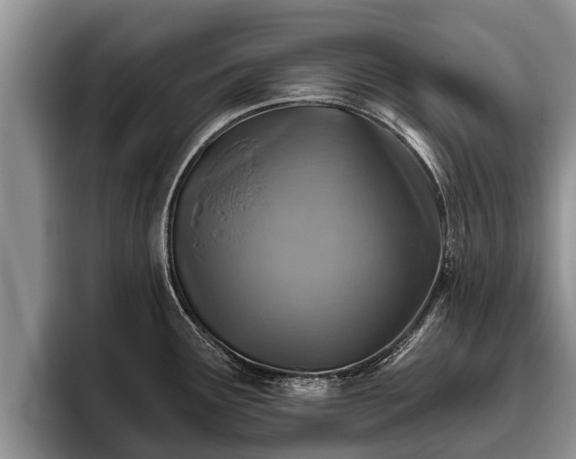X0000095881291200801181158