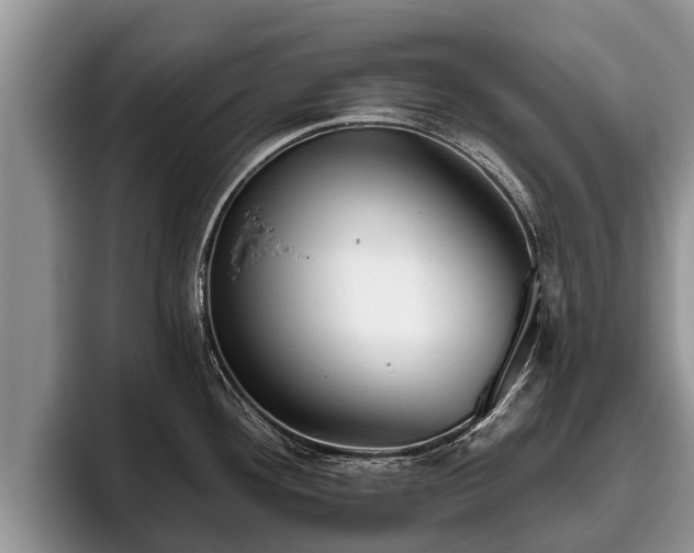 X0000095881292200801181158