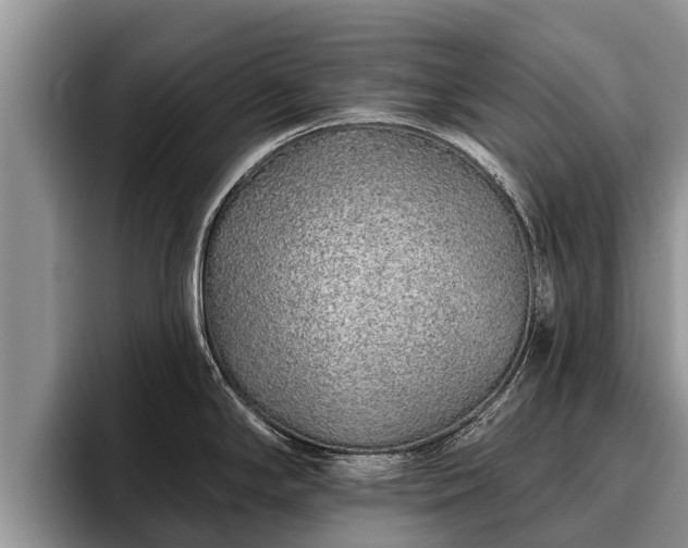X0000095881294200801181158