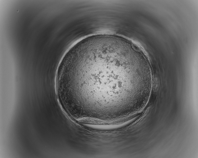 X0000095881295200801181158