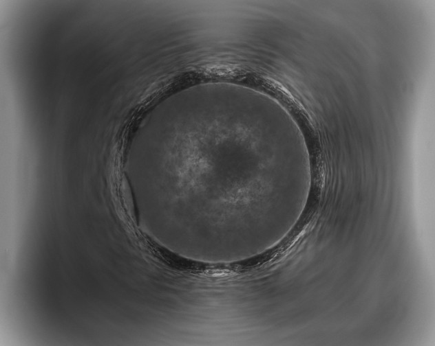 X0000095881297200801181157