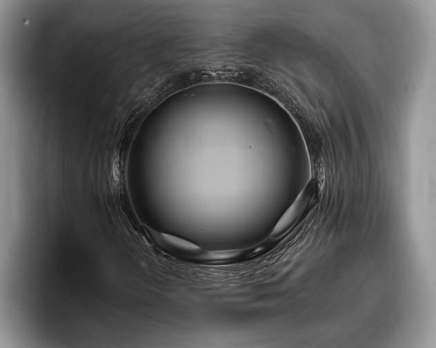 X0000095881298200801181157