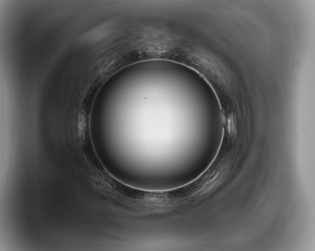 X0000095881299200801181157