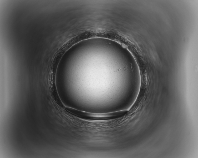 X0000095881301200801181157