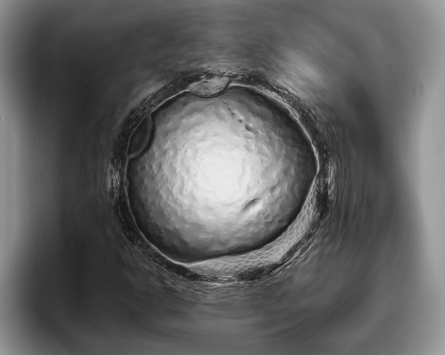 X0000095881302200801181157