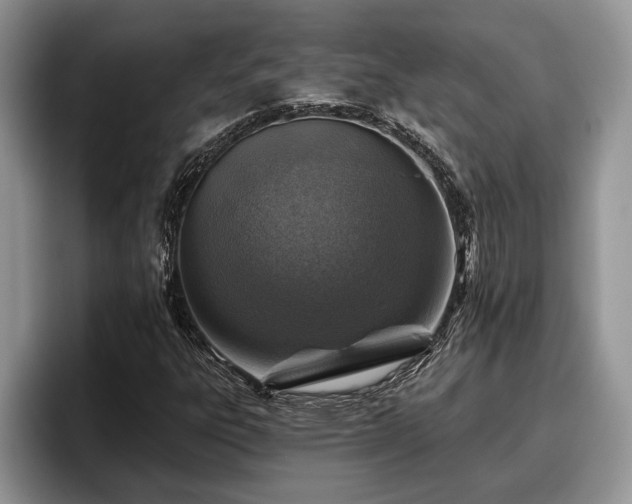X0000095881303200801181157