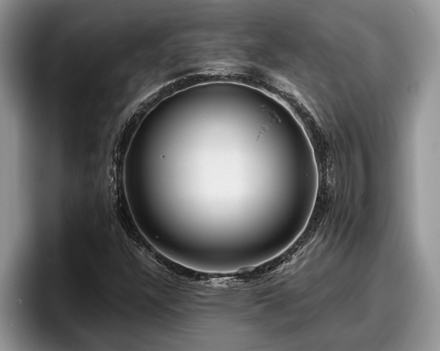 X0000095881304200801181157