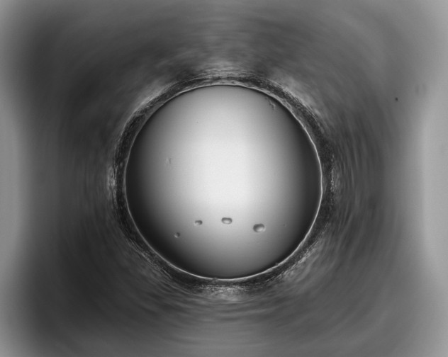 X0000095881309200801181157