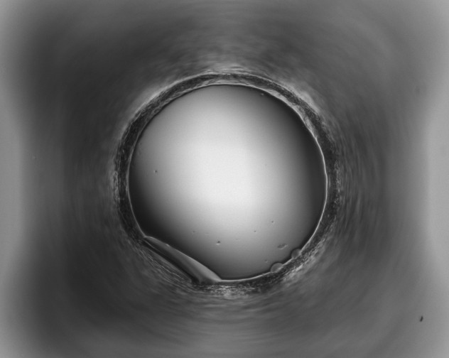 X0000095881311200801181157