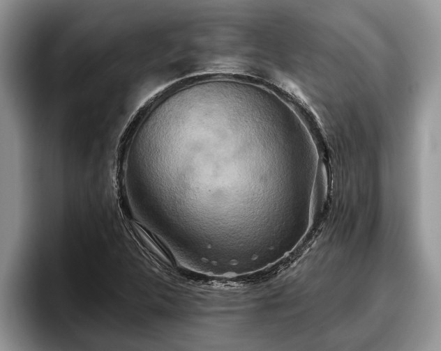 X0000095881312200801181157