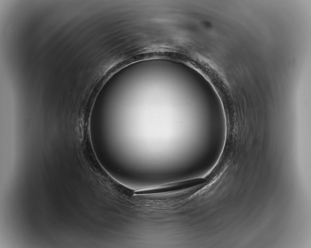 X0000095881313200801181157
