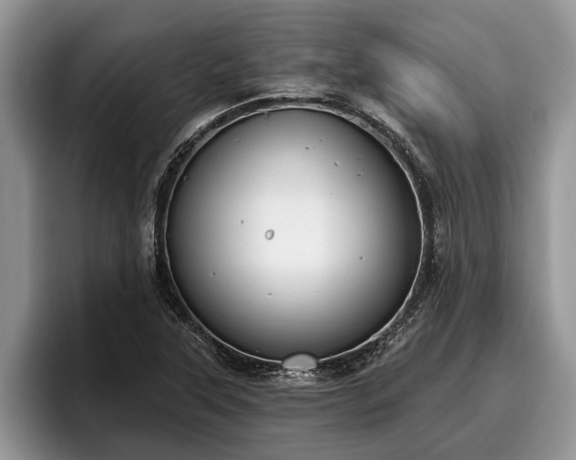 X0000095881315200801181157