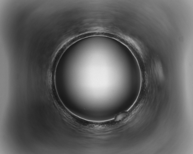 X0000095881318200801181157