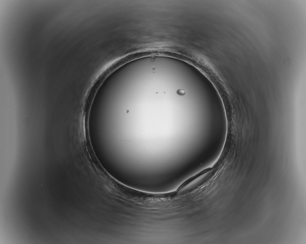 X0000095881320200801181157