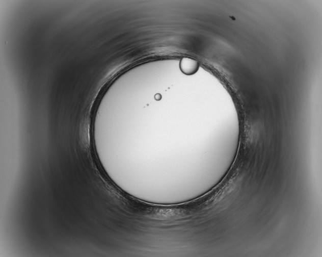 X0000095881322200801181157