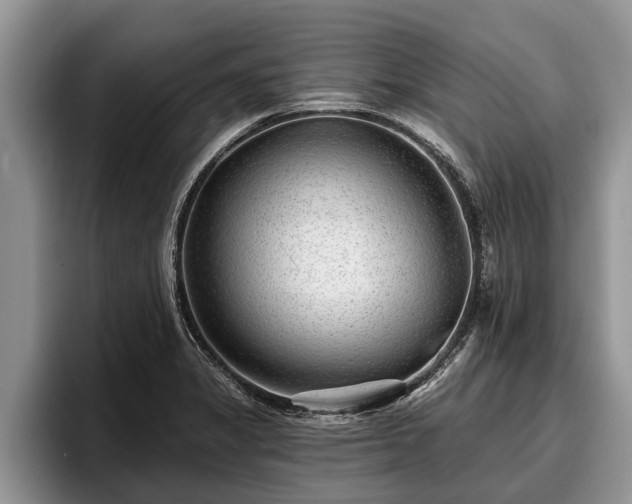 X0000095881325200801181157