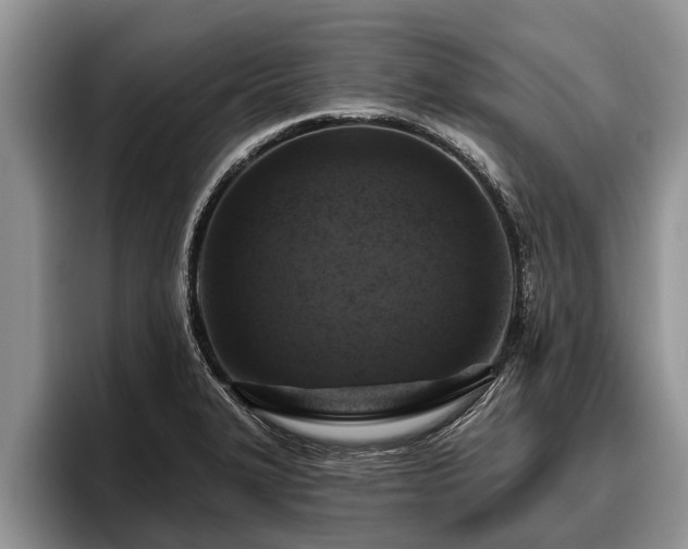 X0000095881327200801181157