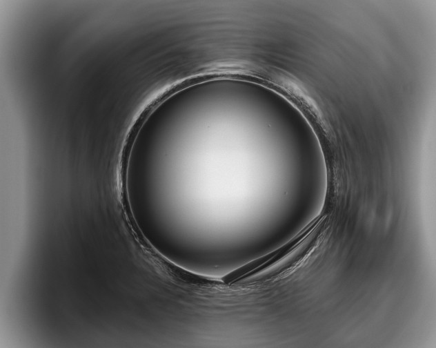 X0000095881328200801181157