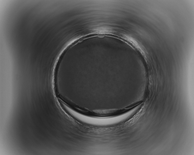 X0000095881331200801181157