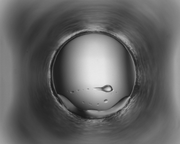 X0000095881335200801181157