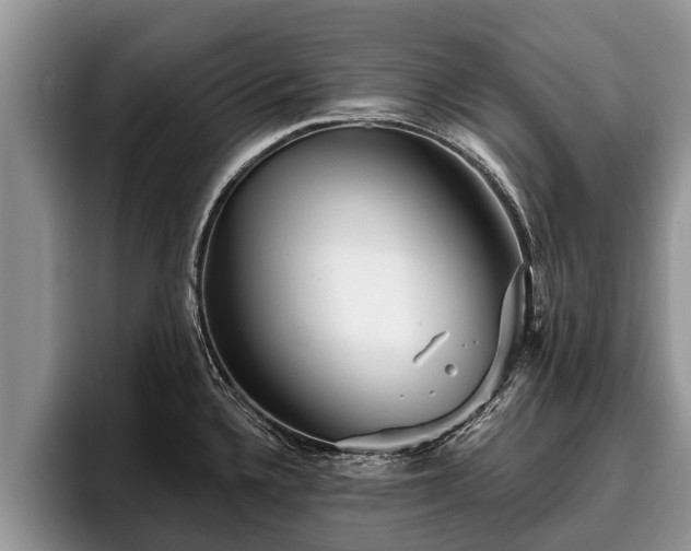 X0000095881336200801181158