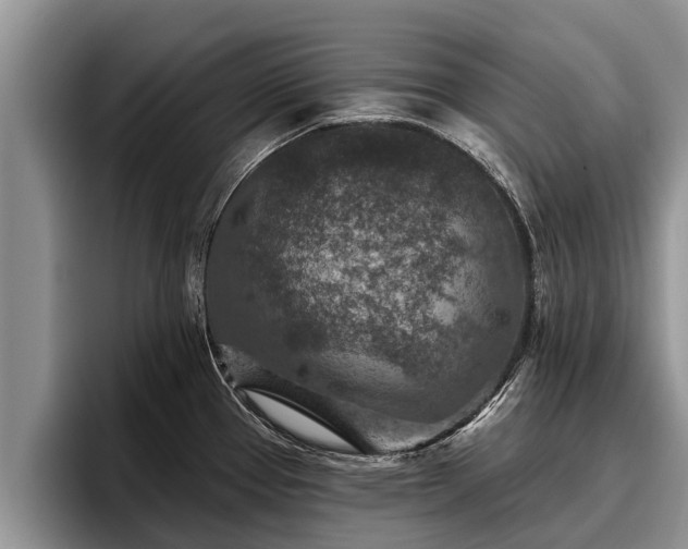 X0000095881337200801181158