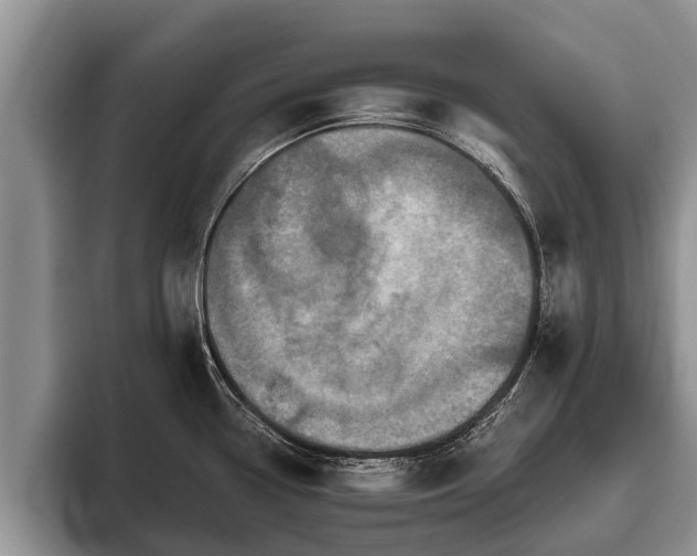 X0000095881338200801181158