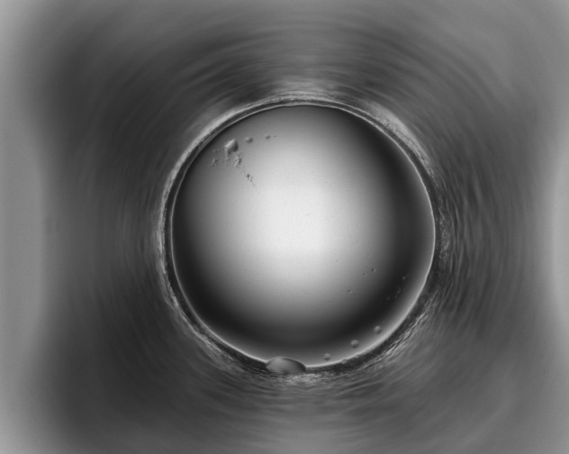 X0000095881339200801181158