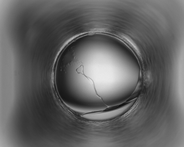 X0000095881340200801181158