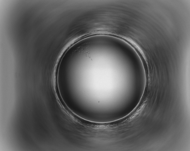 X0000095881341200801181158