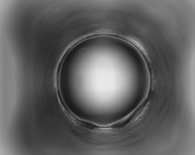 X0000095881342200801181158