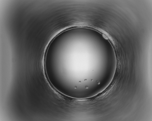 X0000095881343200801181158