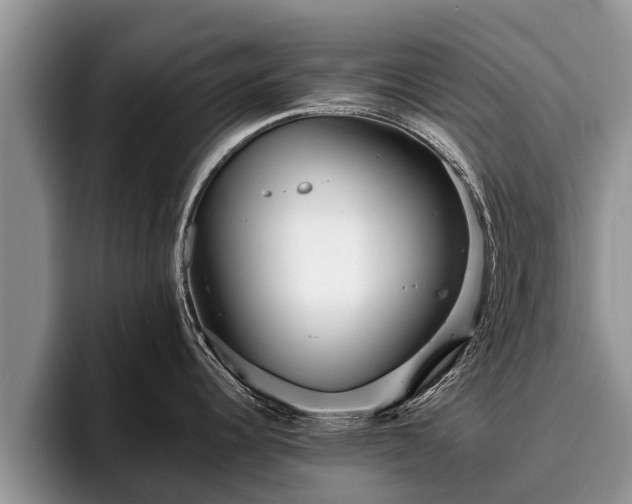 X0000095881344200801181158