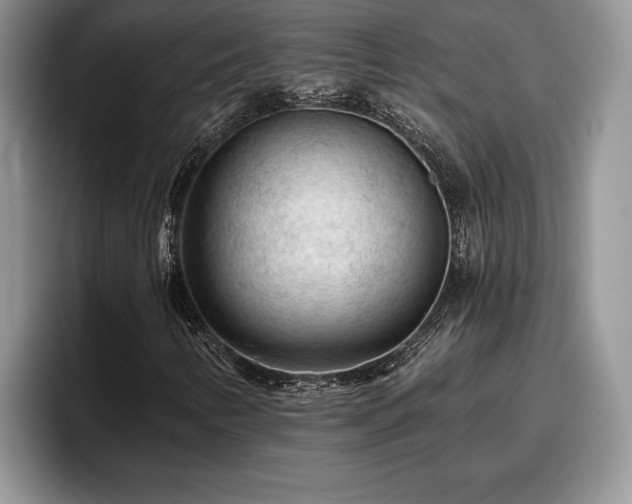 X0000095881346200801181157