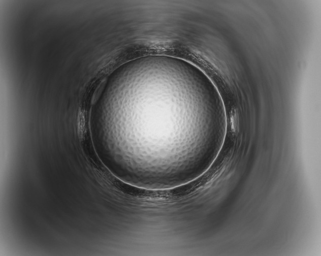 X0000095881347200801181157