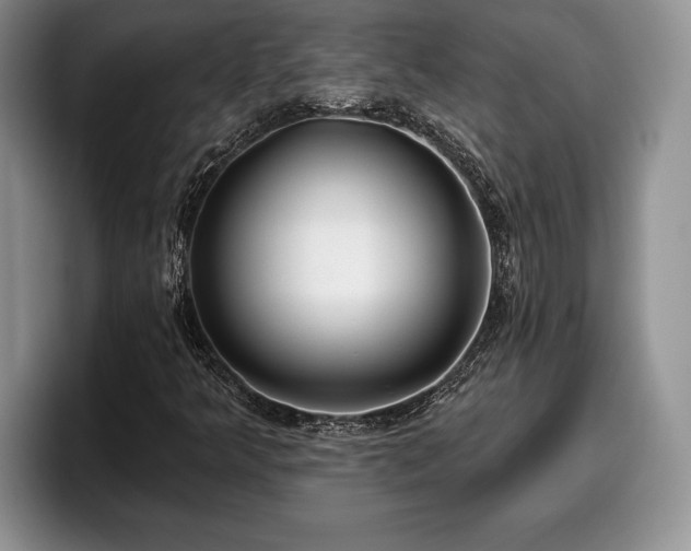 X0000095881349200801181157