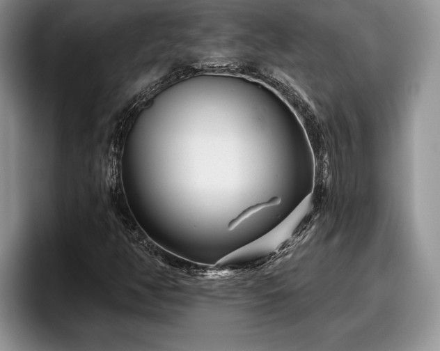 X0000095881350200801181157