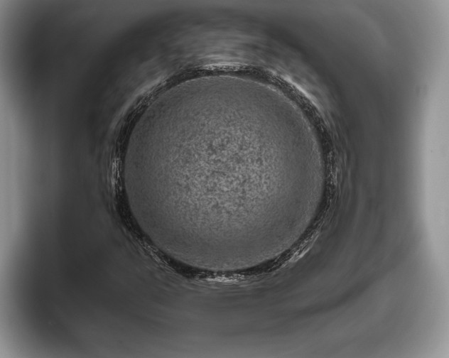 X0000095881351200801181157